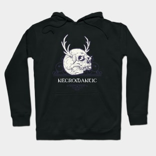 Necromantic Warlock Sorcerer Wizard Dungeons Crawler and Dragons Slayer Hoodie